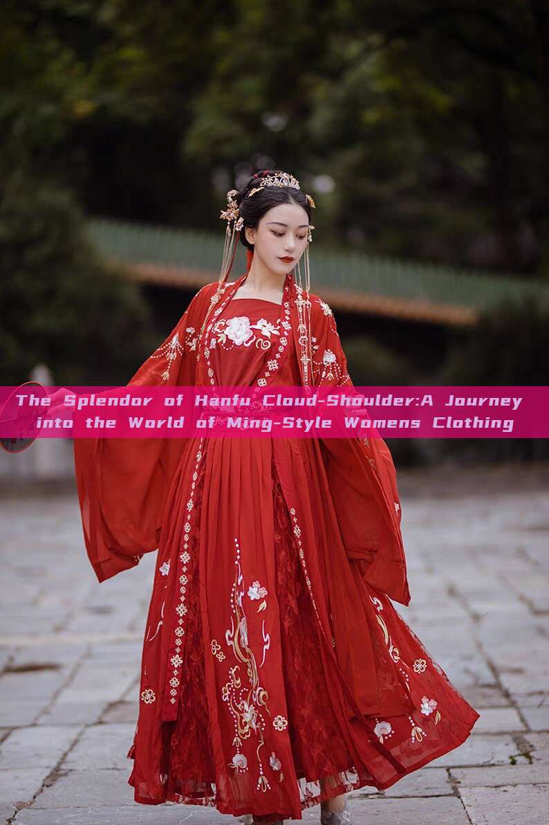 The Splendor of Hanfu Cloud-Shoulder:A Journey into the World of Ming-Style Womens Clothing The Splendor of Hanfu Cloud-Shoulder:A Journey into the World of Ming-Style Womens Clothing
