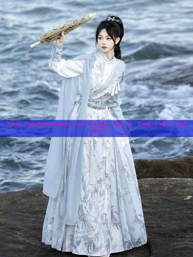 The Enchantment of Hanfu for a Two-Year-Old Girl The Enchantment of Hanfu for a Two-Year-Old Girl