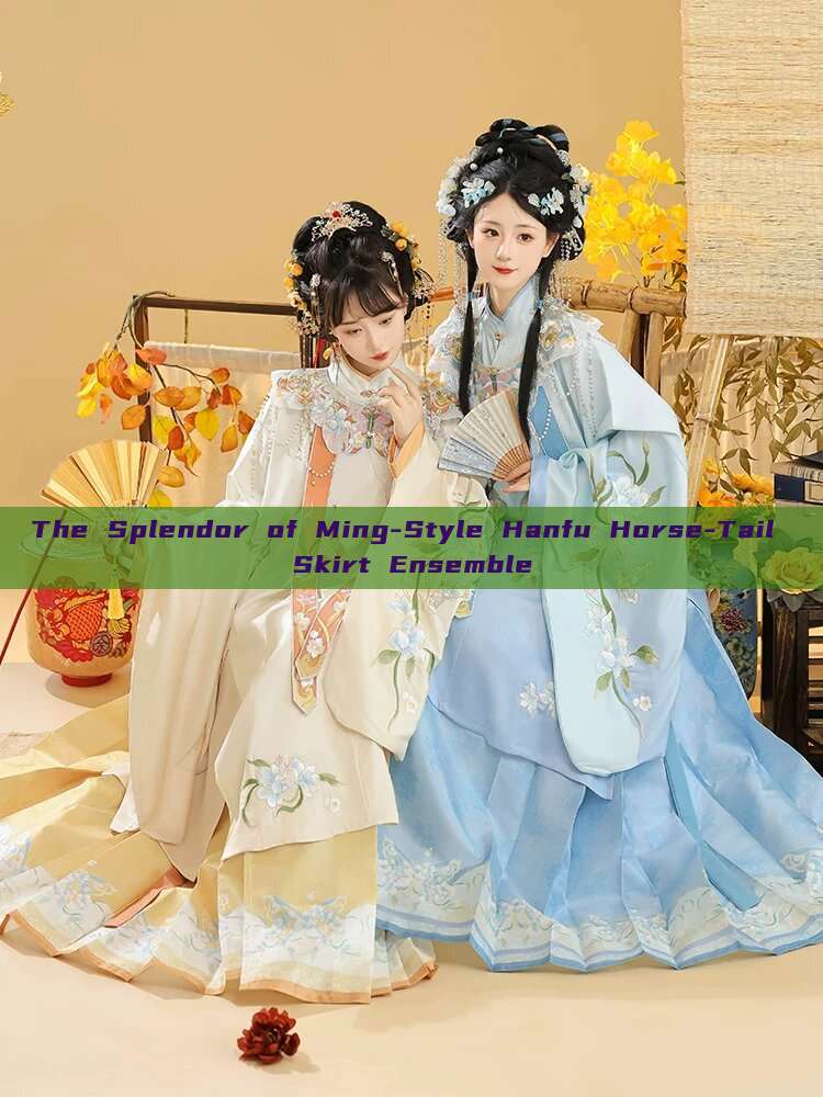 The Splendor of Ming-Style Hanfu Horse-Tail Skirt Ensemble The Splendor of Ming-Style Hanfu Horse-Tail Skirt Ensemble
