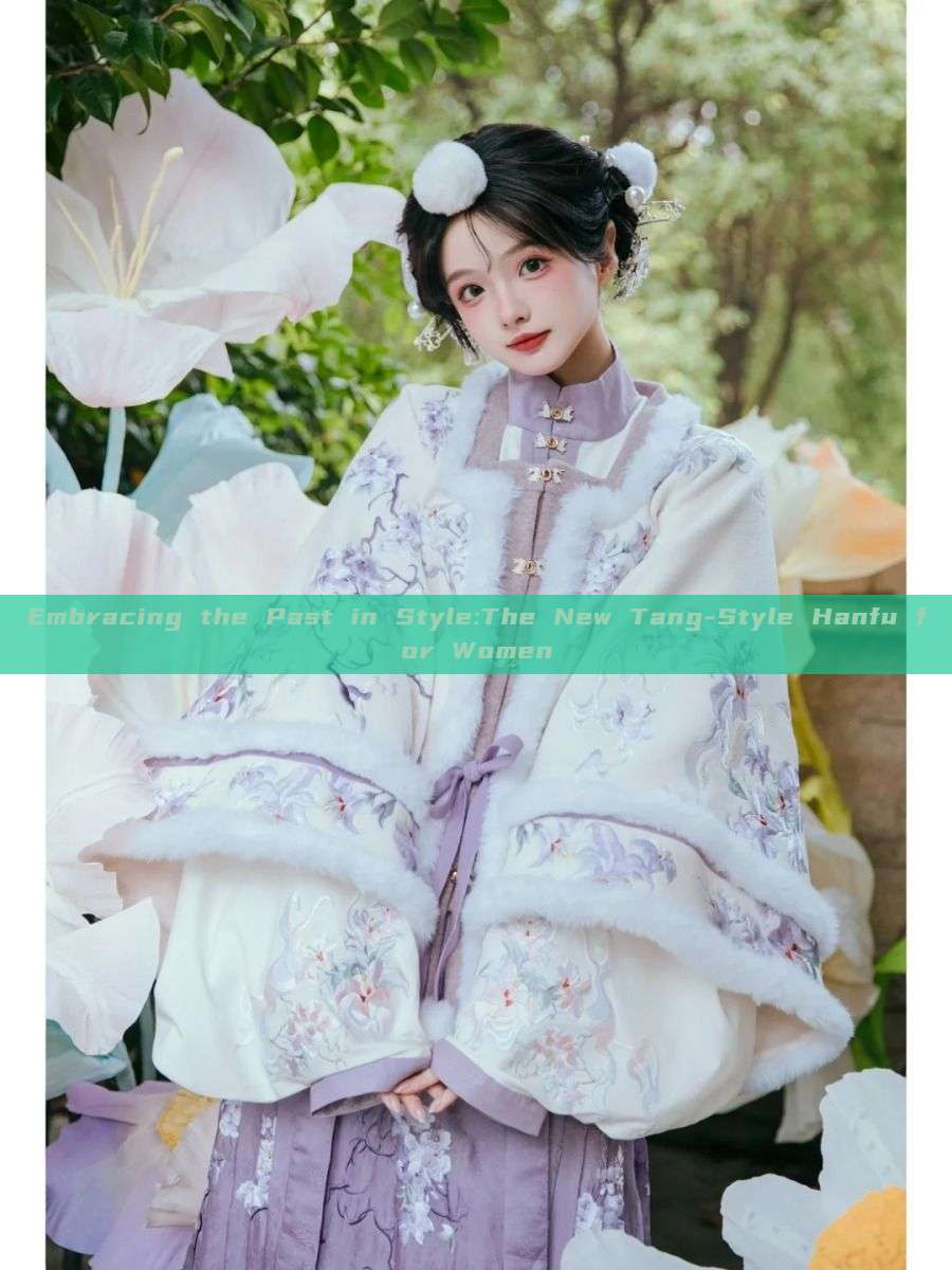 Embracing the Past in Style:The New Tang-Style Hanfu for Women Embracing the Past in Style:The New Tang-Style Hanfu for Women