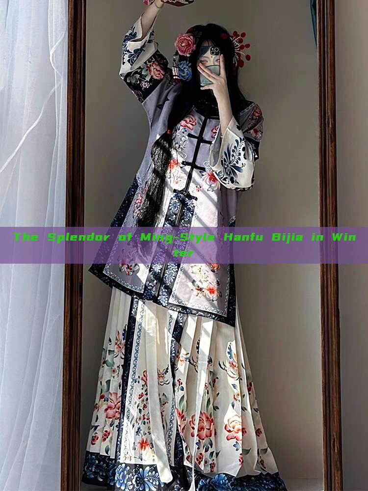 The Splendor of Ming-Style Hanfu Bijia in Winter The Splendor of Ming-Style Hanfu Bijia in Winter