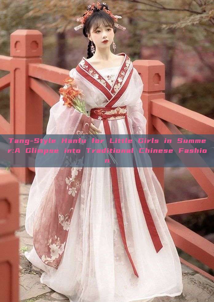 Tang-Style Hanfu for Little Girls in Summer:A Glimpse into Traditional Chinese Fashion Tang-Style Hanfu for Little Girls in Summer:A Glimpse into Traditional Chinese Fashion