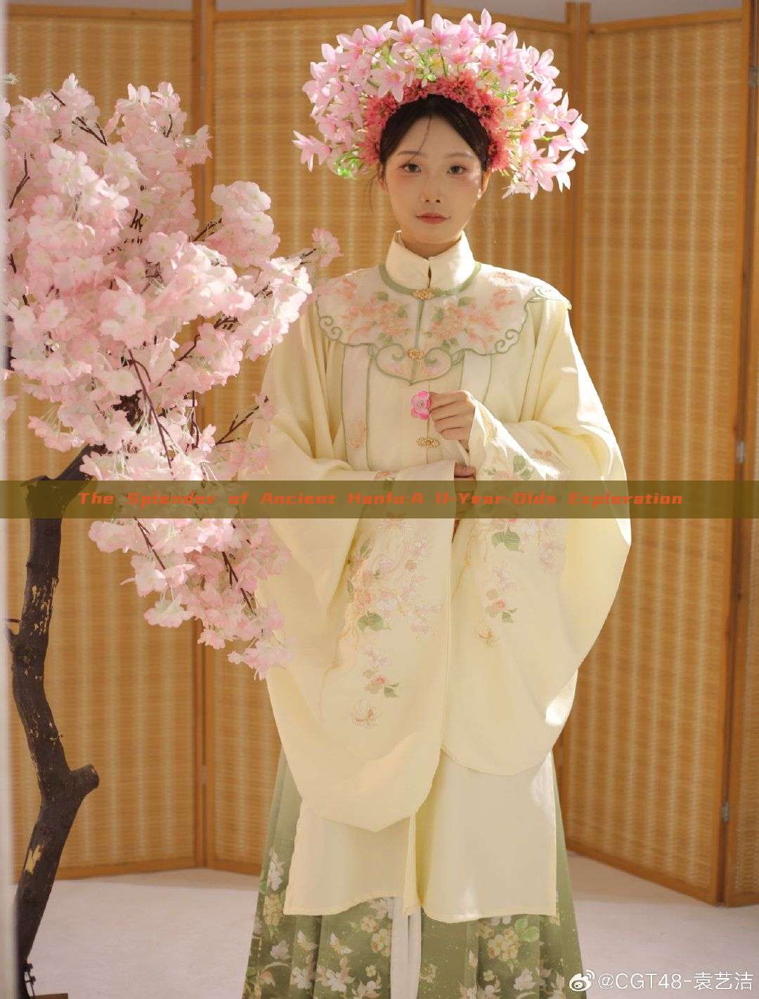 The Splendor of Ancient Hanfu:A 11-Year-Olds Exploration The Splendor of Ancient Hanfu:A 11-Year-Olds Exploration
