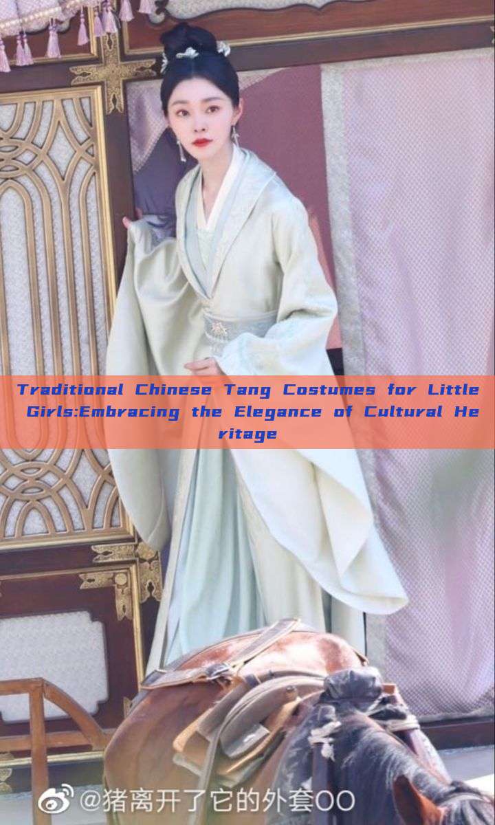 Traditional Chinese Tang Costumes for Little Girls:Embracing the Elegance of Cultural Heritage Traditional Chinese Tang Costumes for Little Girls:Embracing the Elegance of Cultural Heritage