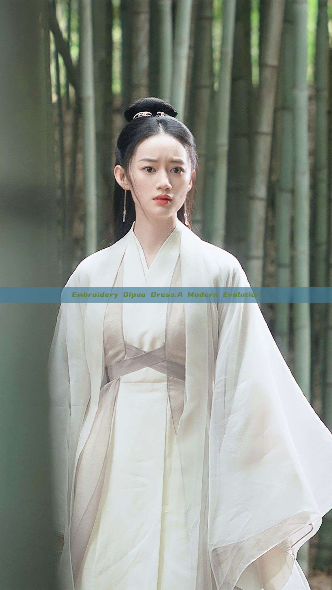 Embroidery Qipao Dress:A Modern Evolution Embroidery Qipao Dress:A Modern Evolution
