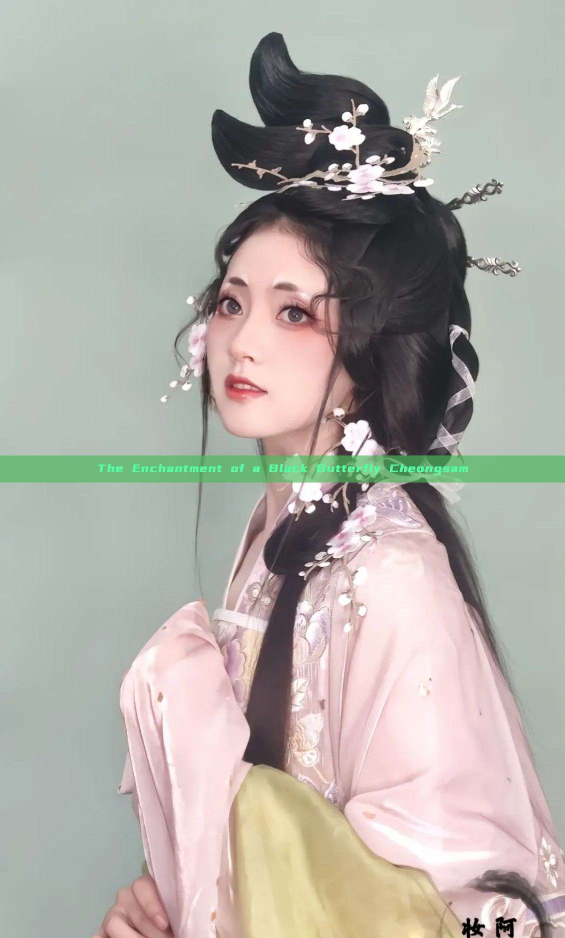 The Enchantment of a Black Butterfly Cheongsam The Enchantment of a Black Butterfly Cheongsam