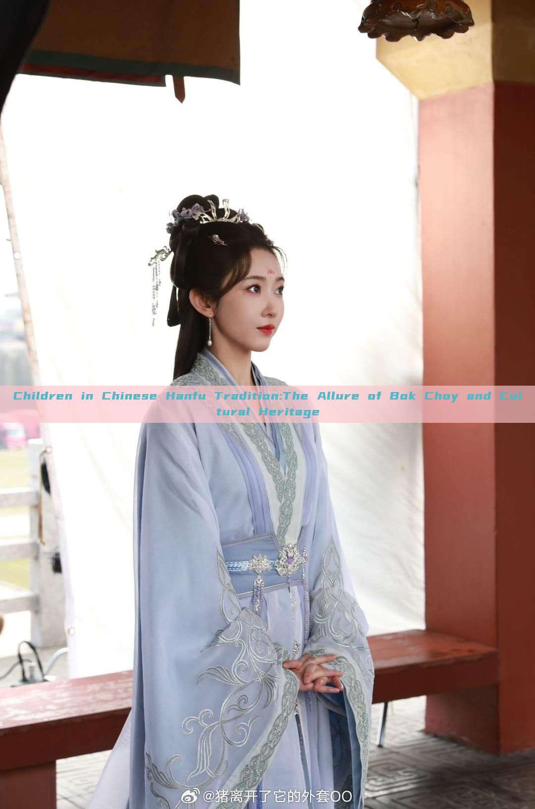 Children in Chinese Hanfu Tradition:The Allure of Bok Choy and Cultural Heritage Children in Chinese Hanfu Tradition:The Allure of Bok Choy and Cultural Heritage
