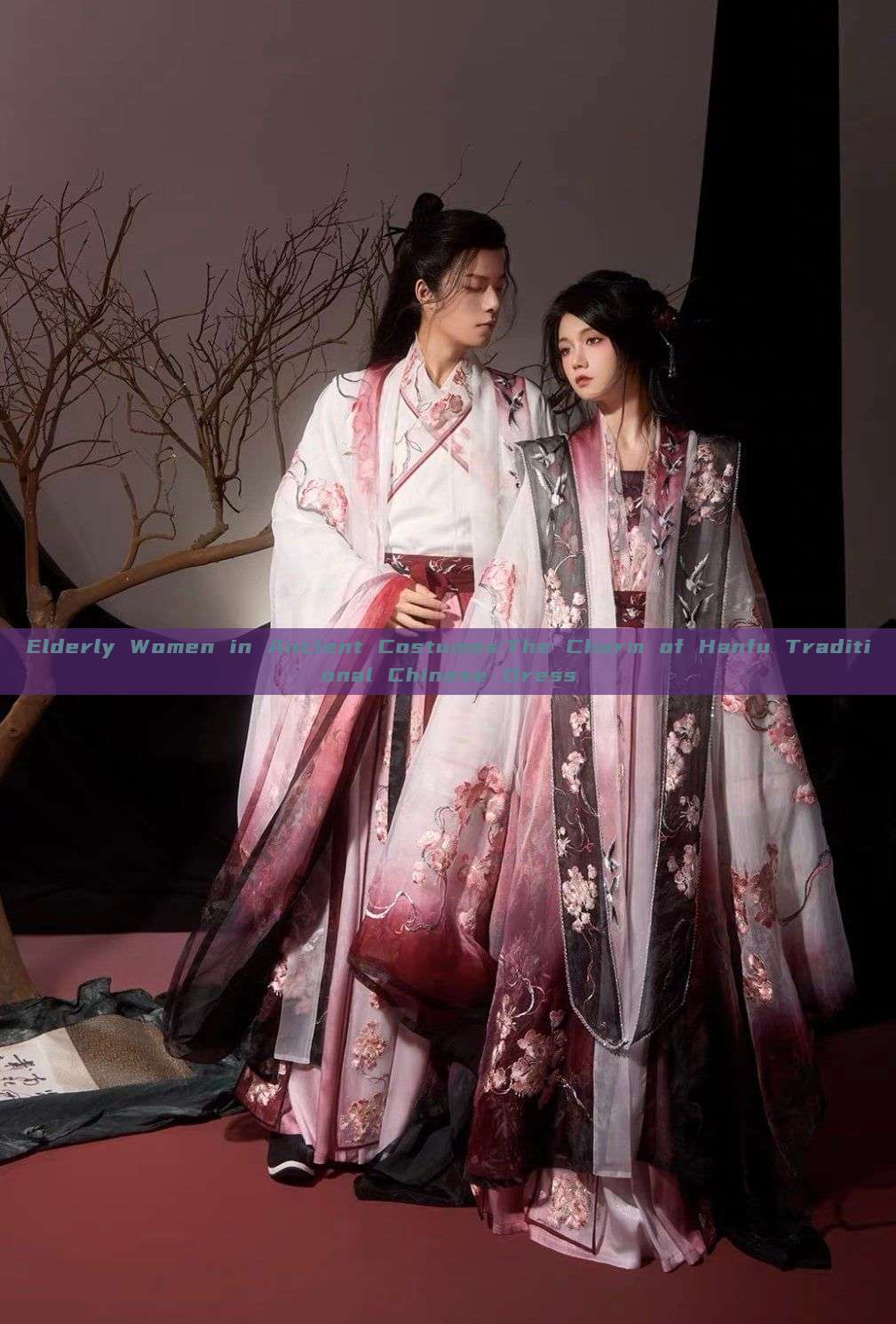 Elderly Women in Ancient Costumes:The Charm of Hanfu Traditional Chinese Dress Elderly Women in Ancient Costumes:The Charm of Hanfu Traditional Chinese Dress