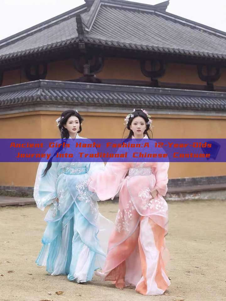 Ancient Girls Hanfu Fashion:A 12-Year-Olds Journey into Traditional Chinese Costume Ancient Girls Hanfu Fashion:A 12-Year-Olds Journey into Traditional Chinese Costume