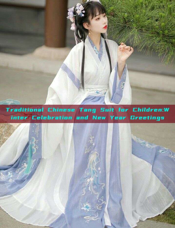 Traditional Chinese Tang Suit for Children:Winter Celebration and New Year Greetings Traditional Chinese Tang Suit for Children:Winter Celebration and New Year Greetings