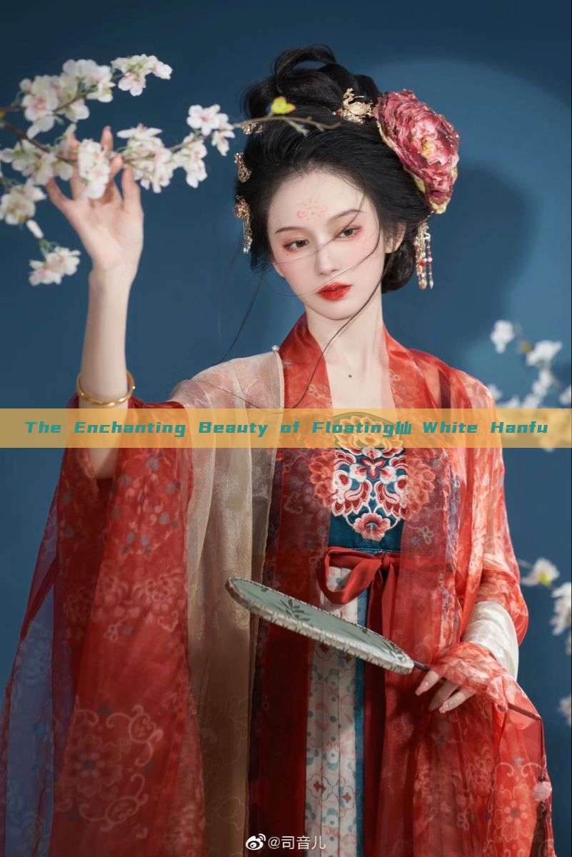 The Enchanting Beauty of Floating仙氣White Hanfu The Enchanting Beauty of Floating仙氣White Hanfu
