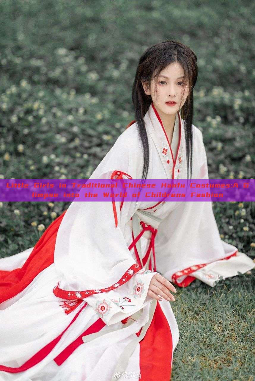 Little Girls in Traditional Chinese Hanfu Costumes:A Glimpse into the World of Childrens Fashion Little Girls in Traditional Chinese Hanfu Costumes:A Glimpse into the World of Childrens Fashion