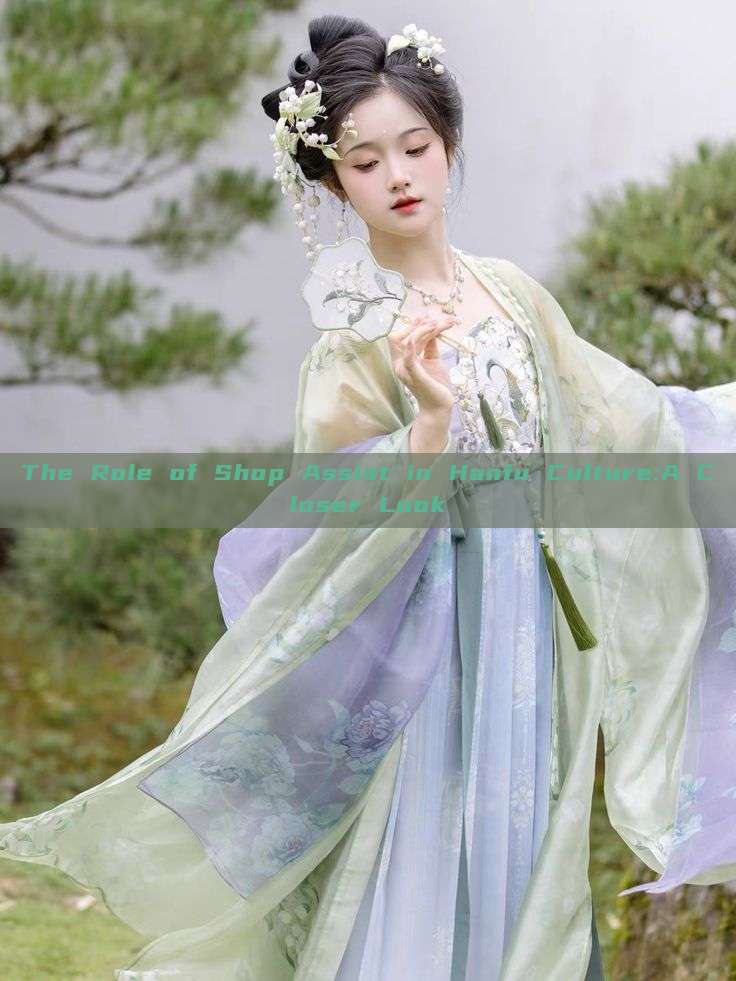 The Role of Shop Assist in Hanfu Culture:A Closer Look The Role of Shop Assist in Hanfu Culture:A Closer Look