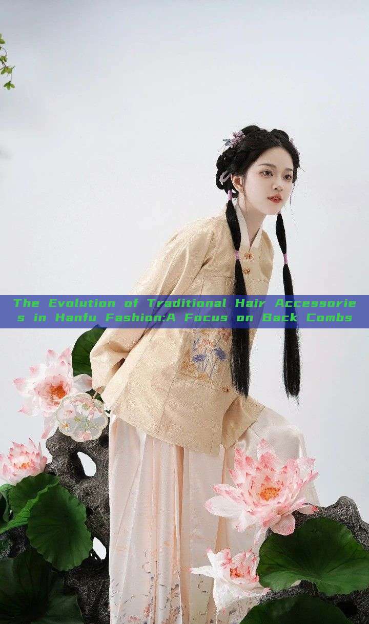 The Evolution of Traditional Hair Accessories in Hanfu Fashion:A Focus on Back Combs The Evolution of Traditional Hair Accessories in Hanfu Fashion:A Focus on Back Combs