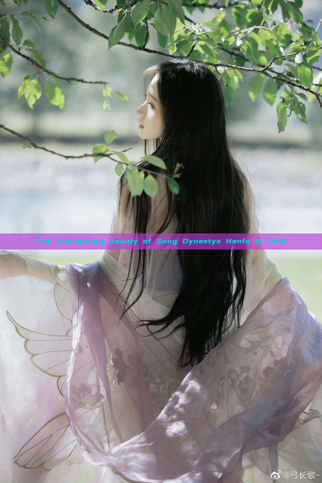 The Enchanting Beauty of Song Dynastys Hanfu in Pink