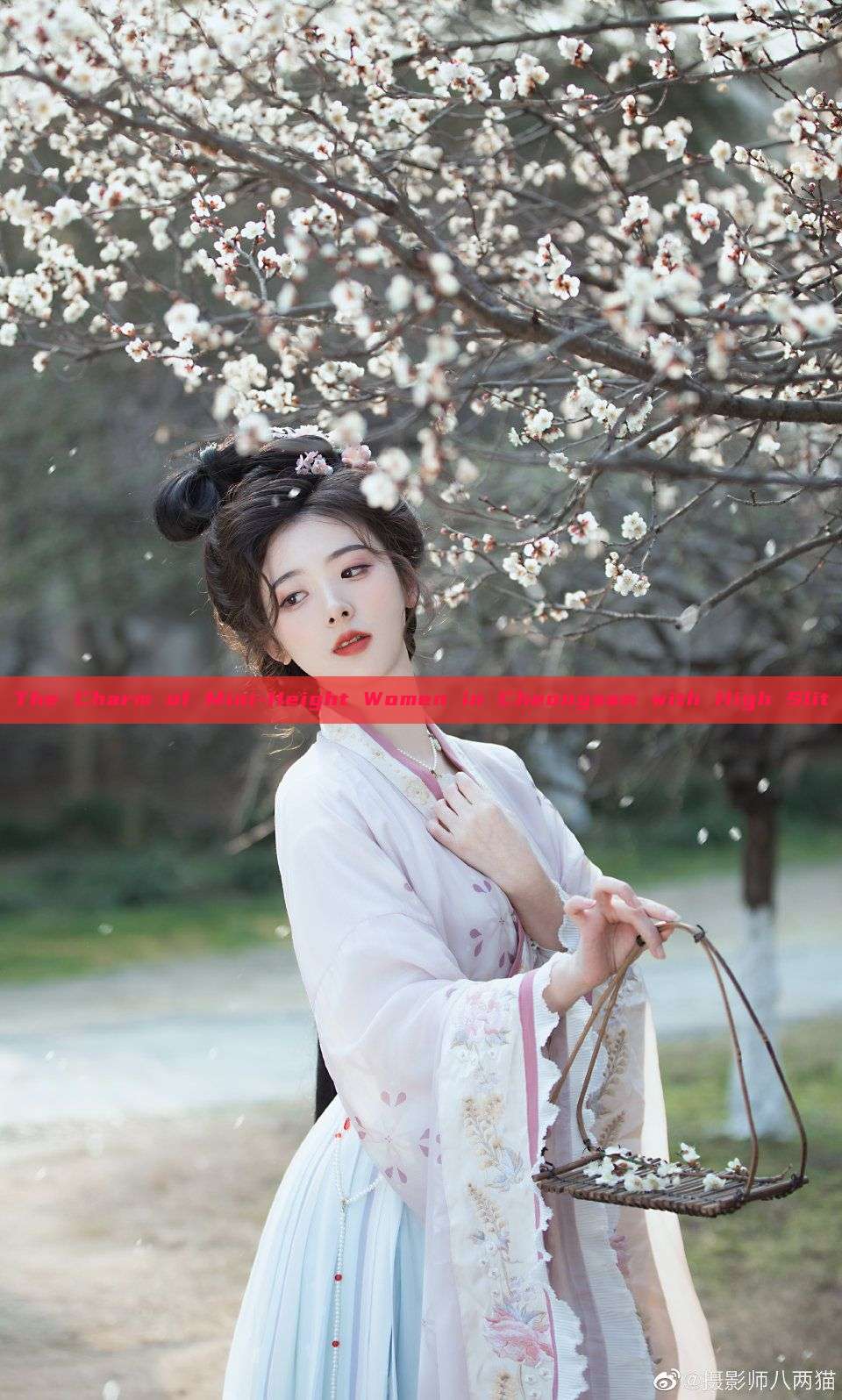 The Charm of Mini-Height Women in Cheongsam with High Slit The Charm of Mini-Height Women in Cheongsam with High Slit