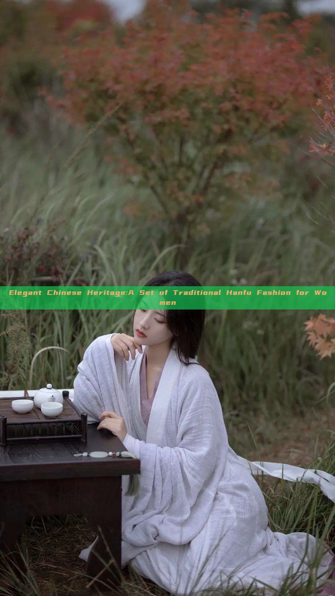 Elegant Chinese Heritage:A Set of Traditional Hanfu Fashion for Women Elegant Chinese Heritage:A Set of Traditional Hanfu Fashion for Women