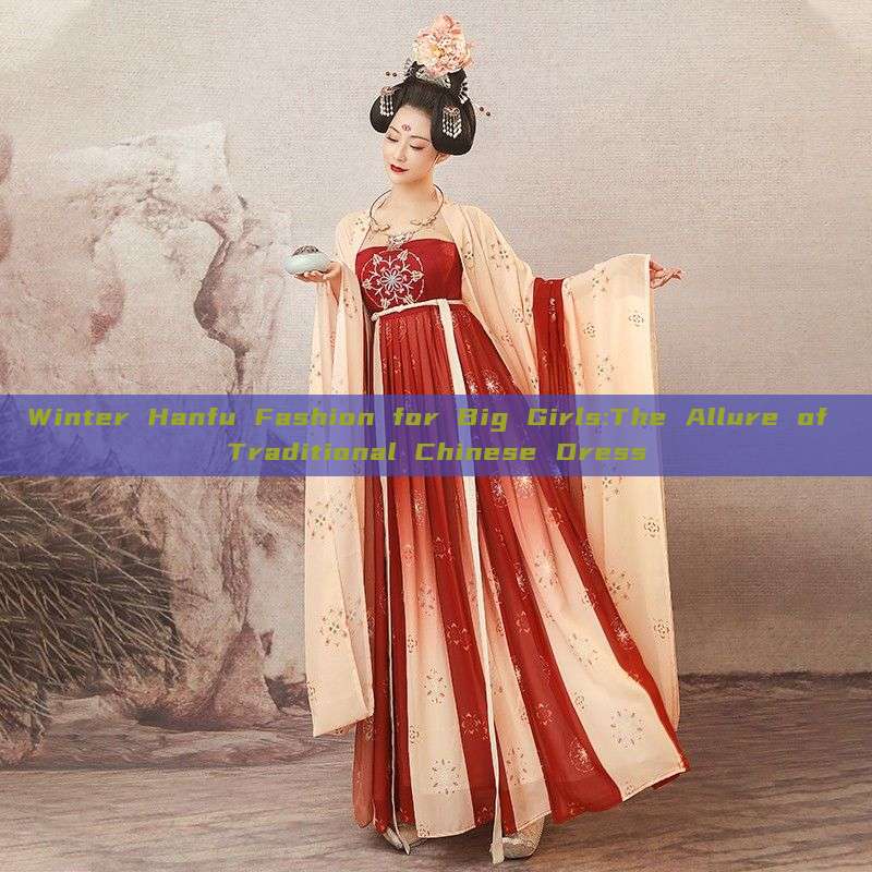 Winter Hanfu Fashion for Big Girls:The Allure of Traditional Chinese Dress Winter Hanfu Fashion for Big Girls:The Allure of Traditional Chinese Dress