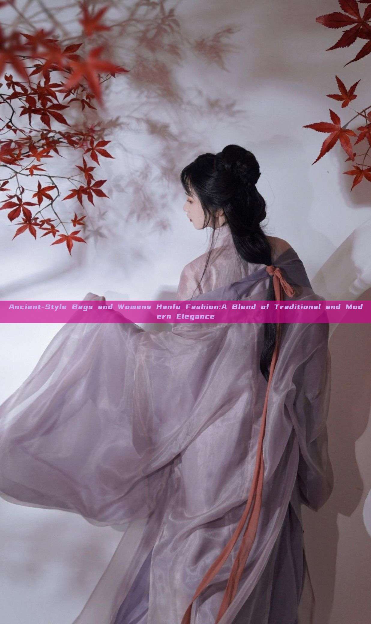 Ancient-Style Bags and Womens Hanfu Fashion:A Blend of Traditional and Modern Elegance Ancient-Style Bags and Womens Hanfu Fashion:A Blend of Traditional and Modern Elegance