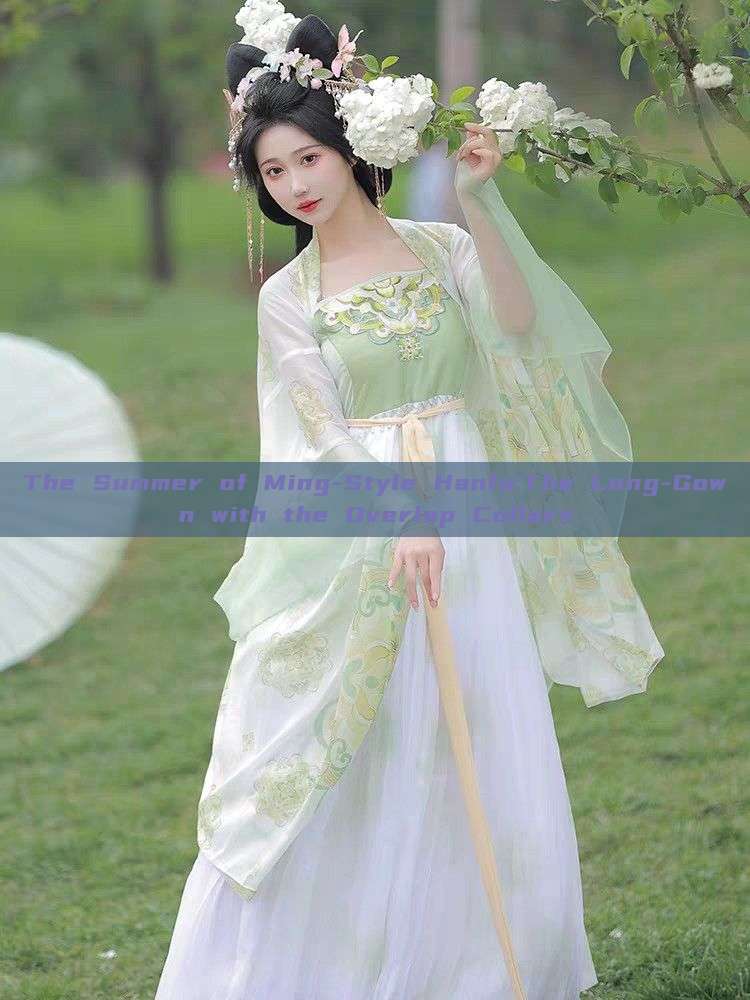 The Summer of Ming-Style Hanfu:The Long-Gown with the Overlap Collars The Summer of Ming-Style Hanfu:The Long-Gown with the Overlap Collars