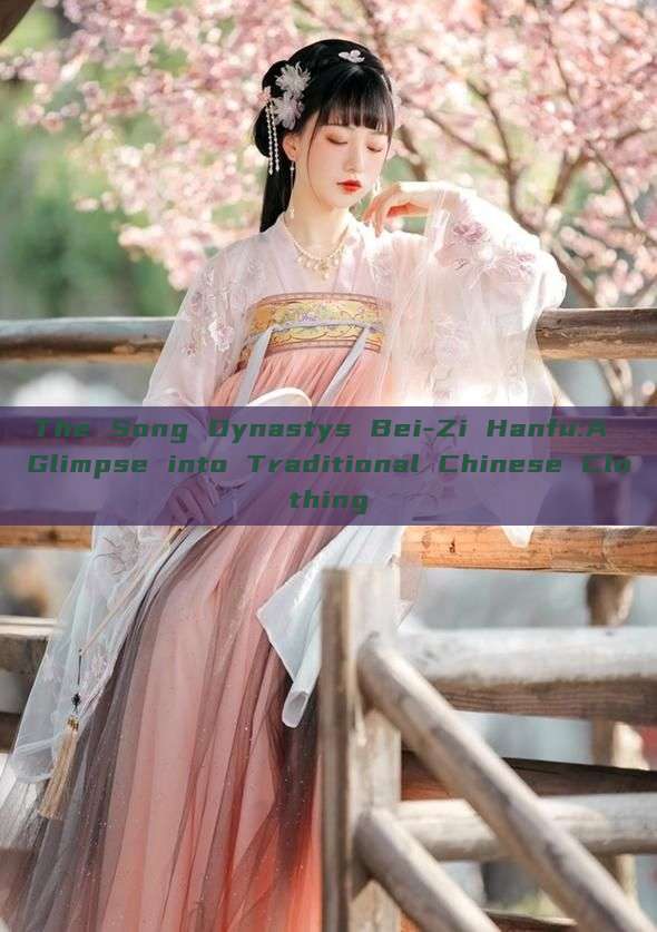 The Song Dynastys Bei-Zi Hanfu:A Glimpse into Traditional Chinese Clothing The Song Dynastys Bei-Zi Hanfu:A Glimpse into Traditional Chinese Clothing