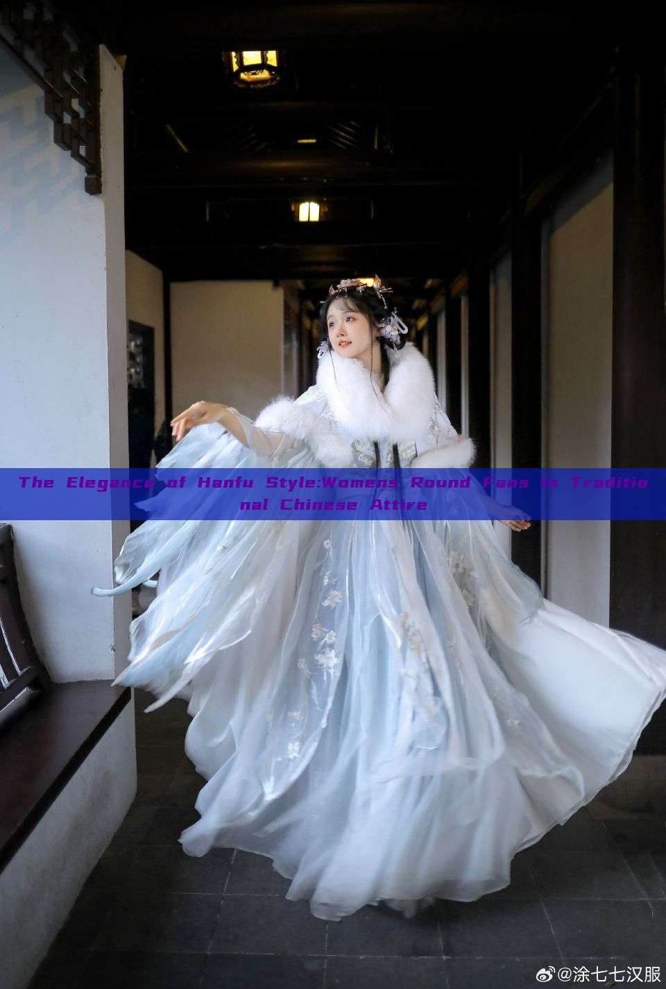 The Elegance of Hanfu Style:Womens Round Fans in Traditional Chinese Attire The Elegance of Hanfu Style:Womens Round Fans in Traditional Chinese Attire