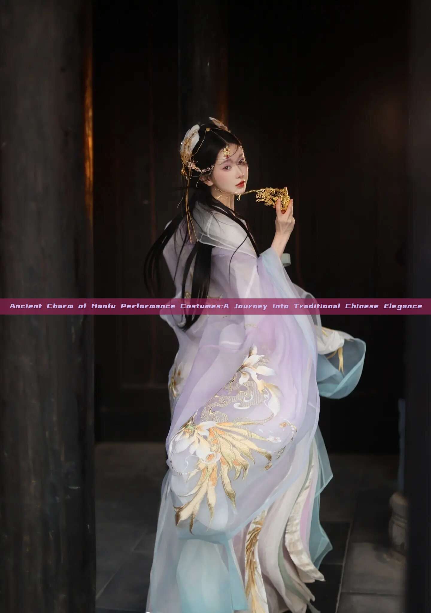 Ancient Charm of Hanfu Performance Costumes:A Journey into Traditional Chinese Elegance Ancient Charm of Hanfu Performance Costumes:A Journey into Traditional Chinese Elegance