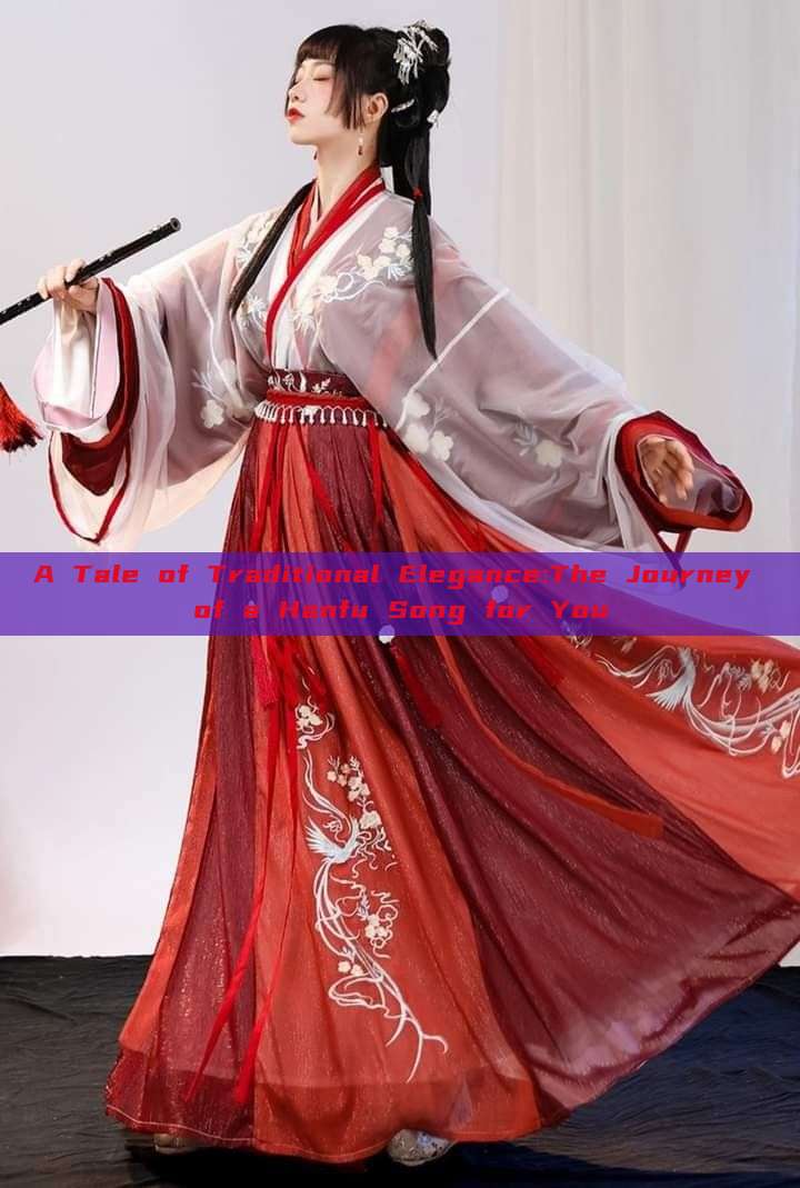 A Tale of Traditional Elegance:The Journey of a Hanfu Song for You A Tale of Traditional Elegance:The Journey of a Hanfu Song for You