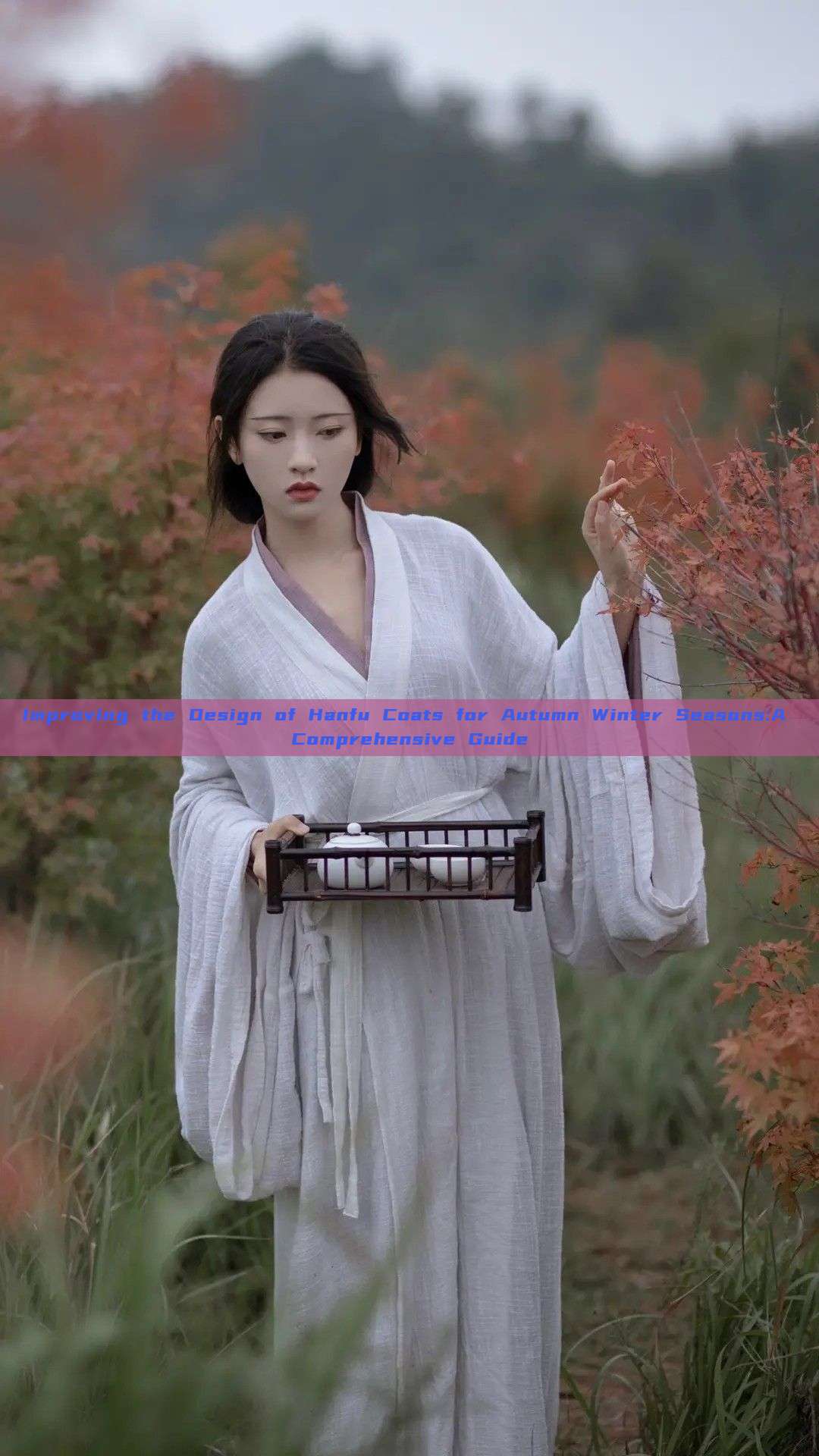 Improving the Design of Hanfu Coats for Autumn Winter Seasons:A Comprehensive Guide Improving the Design of Hanfu Coats for Autumn Winter Seasons:A Comprehensive Guide