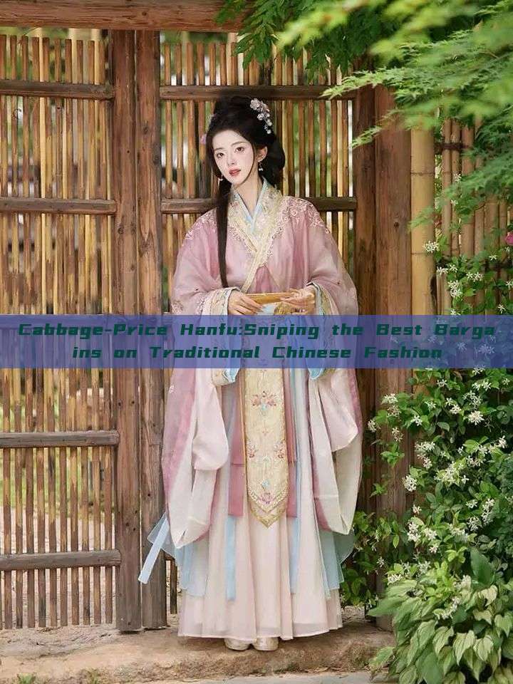 Cabbage-Price Hanfu:Sniping the Best Bargains on Traditional Chinese Fashion Cabbage-Price Hanfu:Sniping the Best Bargains on Traditional Chinese Fashion