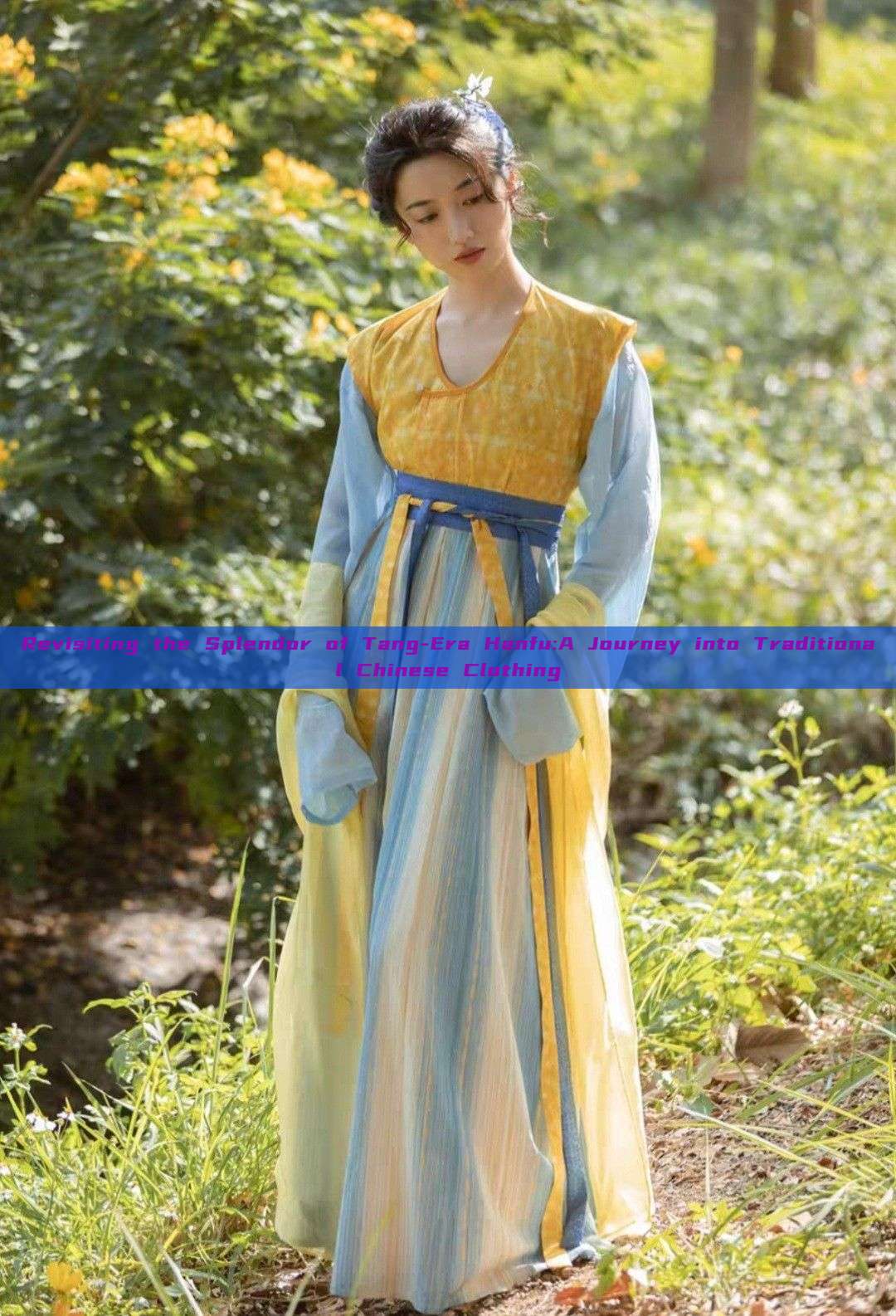 Revisiting the Splendor of Tang-Era Hanfu:A Journey into Traditional Chinese Clothing Revisiting the Splendor of Tang-Era Hanfu:A Journey into Traditional Chinese Clothing