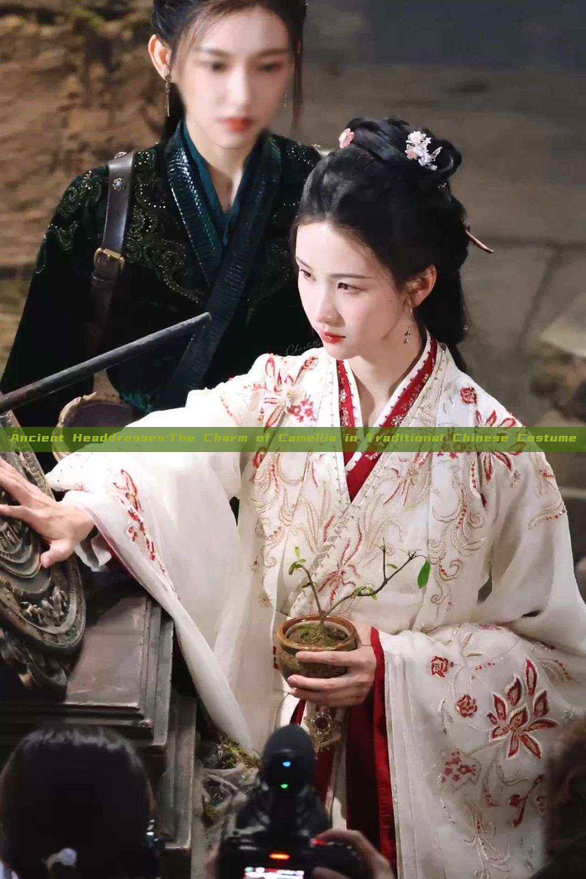 Ancient Headdresses:The Charm of Camellia in Traditional Chinese Costume Ancient Headdresses:The Charm of Camellia in Traditional Chinese Costume
