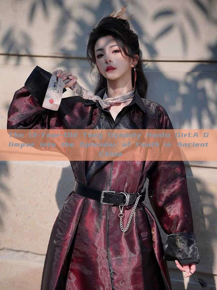 The 13-Year-Old Tang Dynasty Hanfu Girl:A Glimpse into the Splendor of Youth in Ancient China The 13-Year-Old Tang Dynasty Hanfu Girl:A Glimpse into the Splendor of Youth in Ancient China