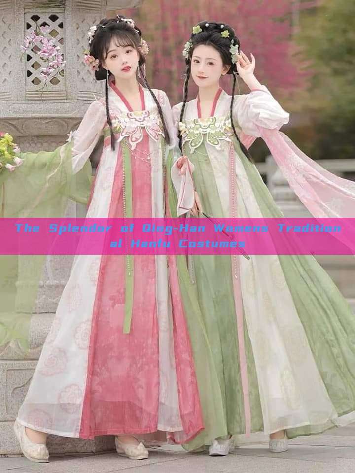 The Splendor of Qing-Han Womens Traditional Hanfu Costumes The Splendor of Qing-Han Womens Traditional Hanfu Costumes