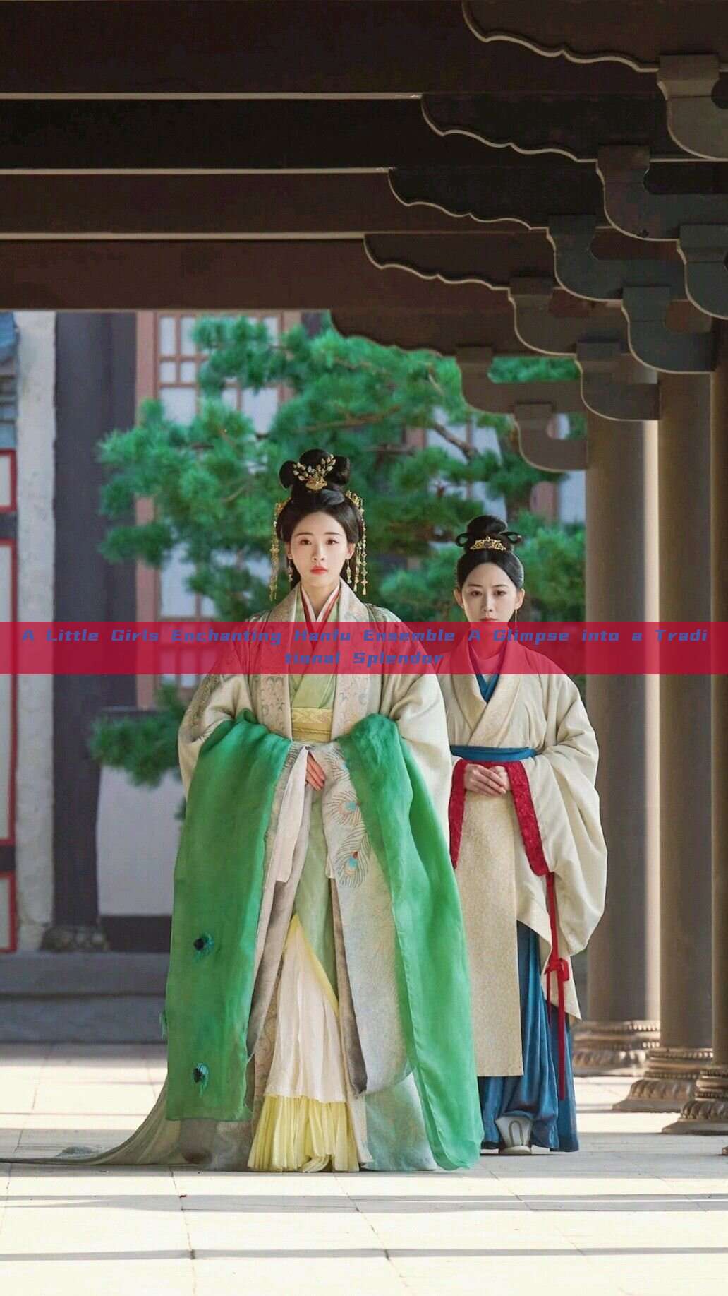 A Little Girls Enchanting Hanfu Ensemble A Glimpse into a Traditional Splendor A Little Girls Enchanting Hanfu Ensemble A Glimpse into a Traditional Splendor
