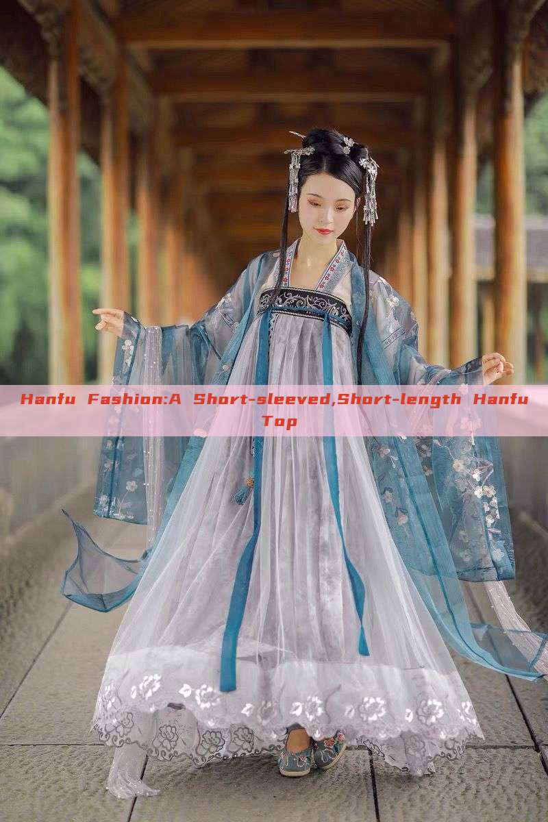 Hanfu Fashion:A Short-sleeved,Short-length Hanfu Top Hanfu Fashion:A Short-sleeved,Short-length Hanfu Top