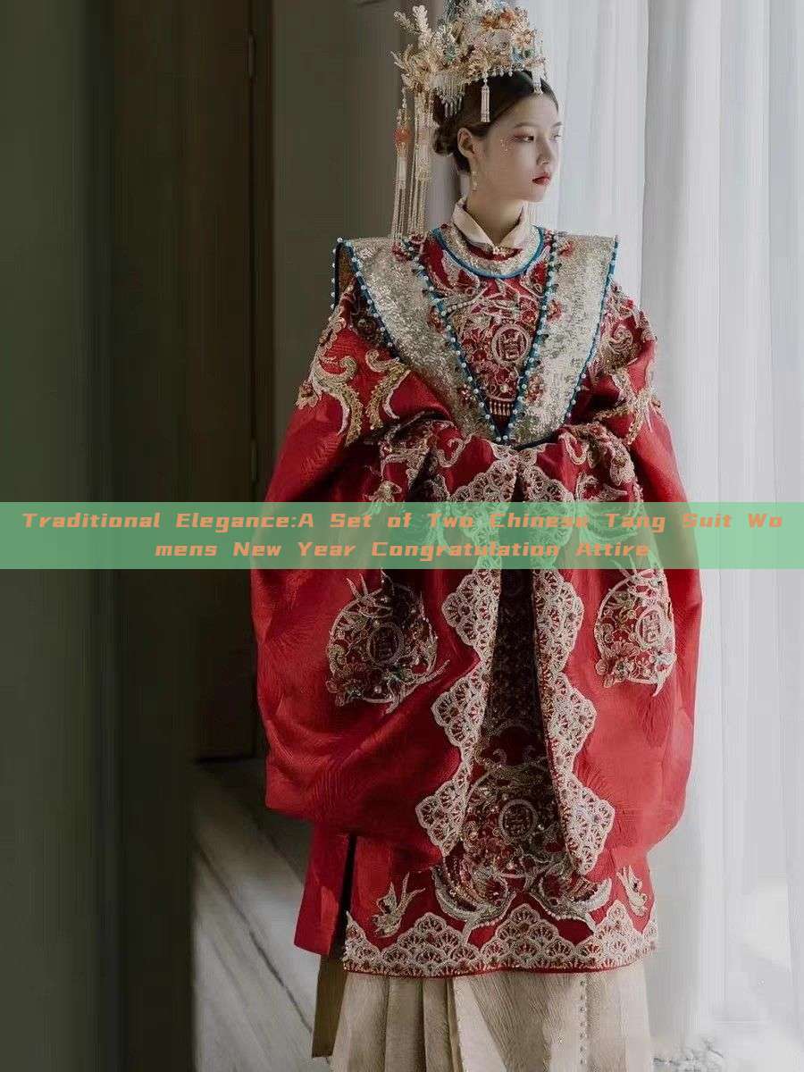 Traditional Elegance:A Set of Two Chinese Tang Suit Womens New Year Congratulation Attire Traditional Elegance:A Set of Two Chinese Tang Suit Womens New Year Congratulation Attire