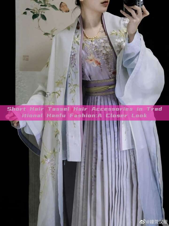 Short Hair Tassel Hair Accessories in Traditional Hanfu Fashion:A Closer Look Short Hair Tassel Hair Accessories in Traditional Hanfu Fashion:A Closer Look