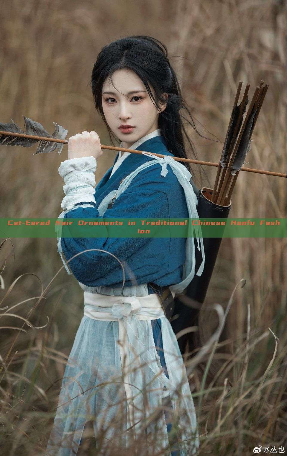 Cat-Eared Hair Ornaments in Traditional Chinese Hanfu Fashion Cat-Eared Hair Ornaments in Traditional Chinese Hanfu Fashion