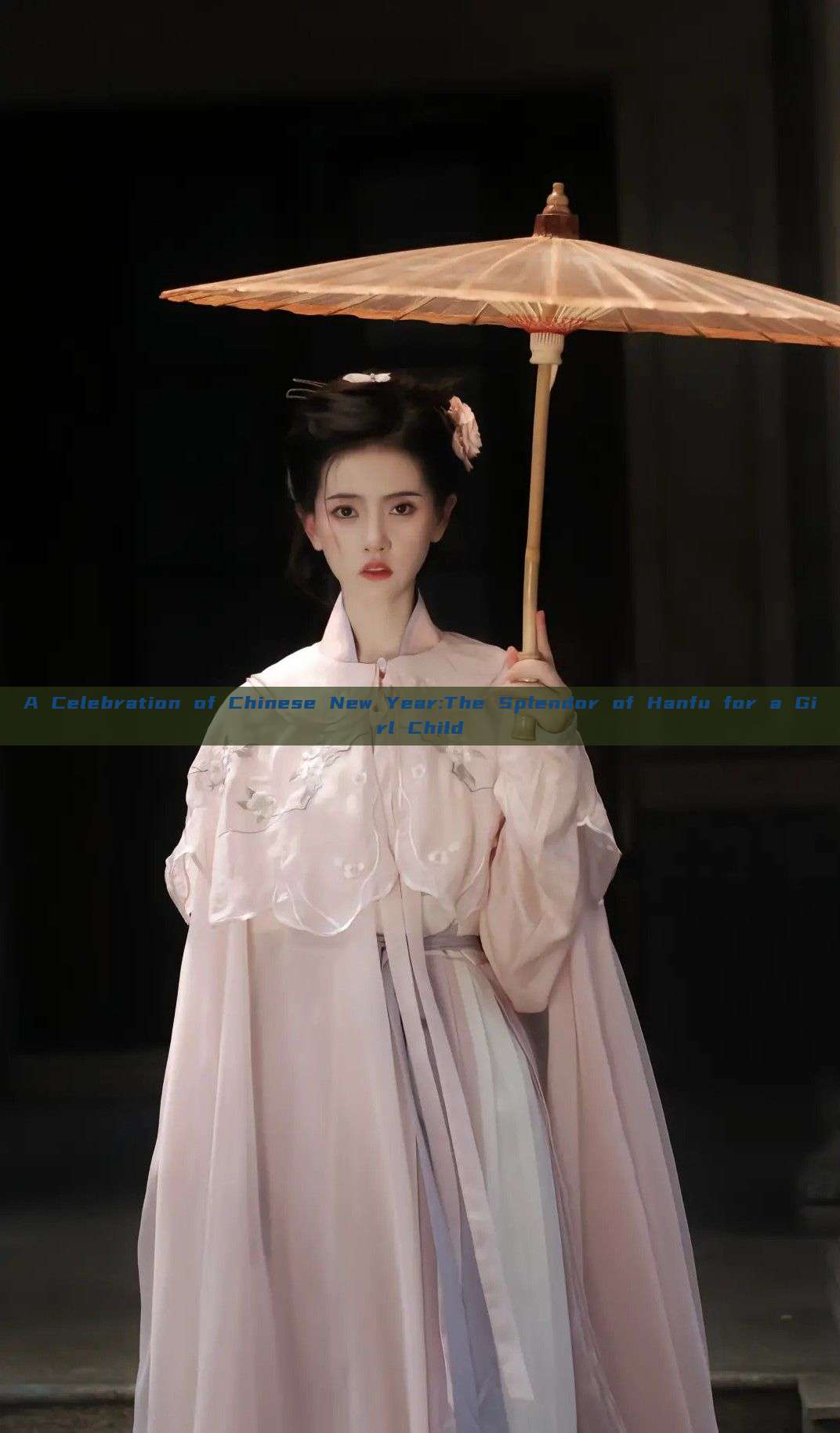 A Celebration of Chinese New Year:The Splendor of Hanfu for a Girl Child A Celebration of Chinese New Year:The Splendor of Hanfu for a Girl Child