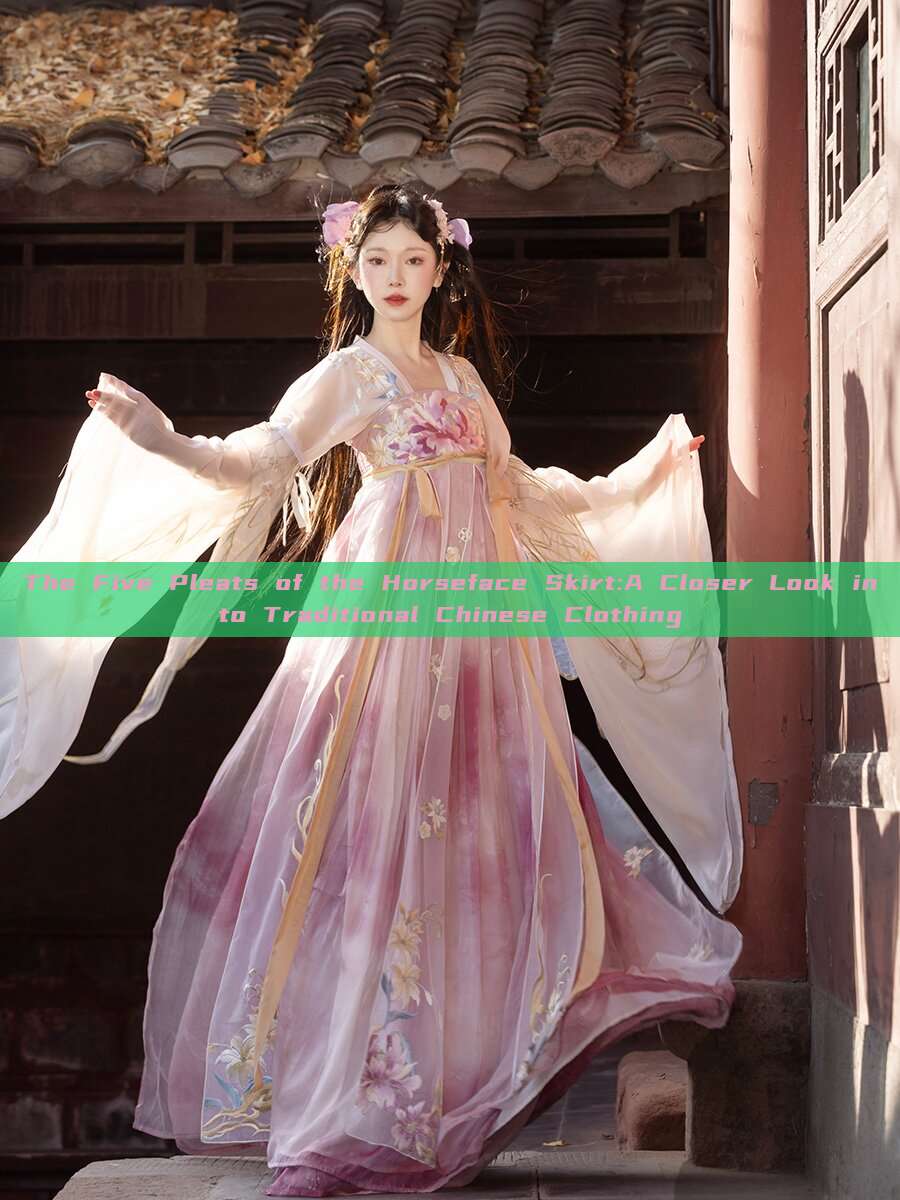 The Five Pleats of the Horseface Skirt:A Closer Look into Traditional Chinese Clothing The Five Pleats of the Horseface Skirt:A Closer Look into Traditional Chinese Clothing