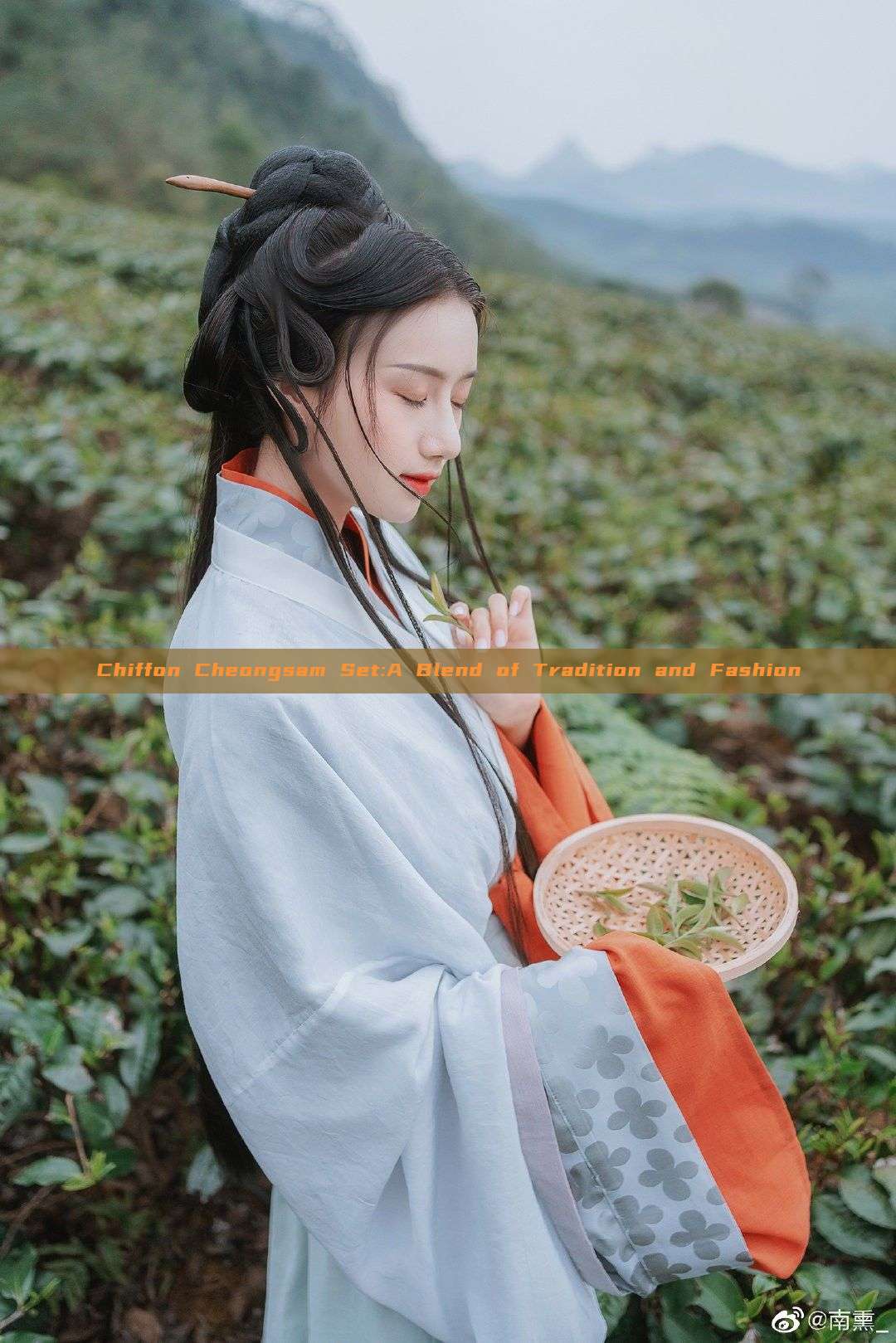 Chiffon Cheongsam Set:A Blend of Tradition and Fashion Chiffon Cheongsam Set:A Blend of Tradition and Fashion