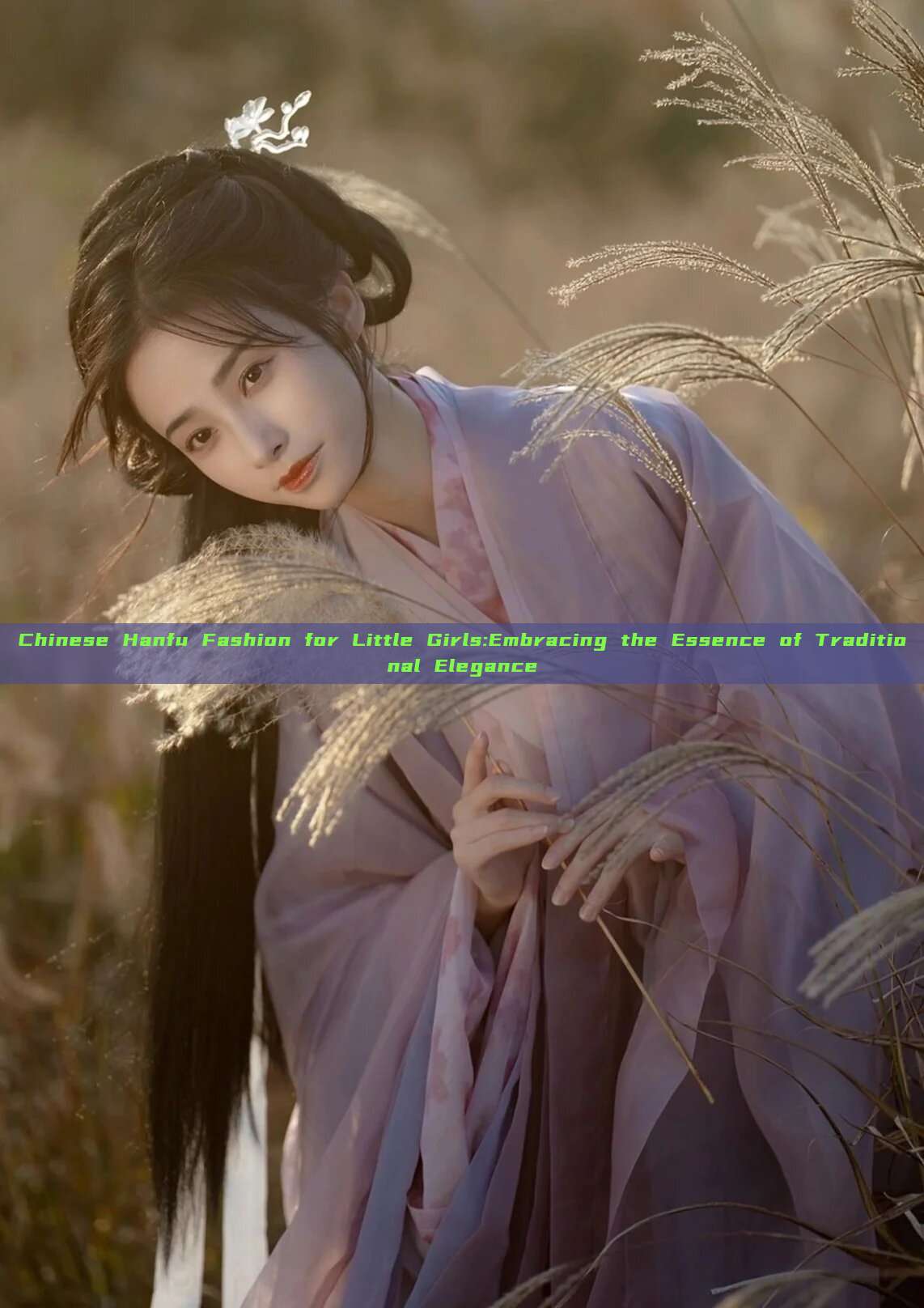 Chinese Hanfu Fashion for Little Girls:Embracing the Essence of Traditional Elegance Chinese Hanfu Fashion for Little Girls:Embracing the Essence of Traditional Elegance