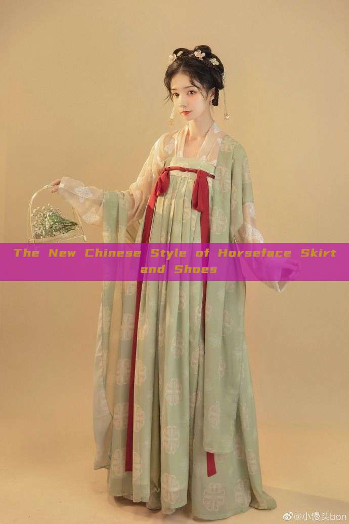 The New Chinese Style of Horseface Skirt and Shoes The New Chinese Style of Horseface Skirt and Shoes