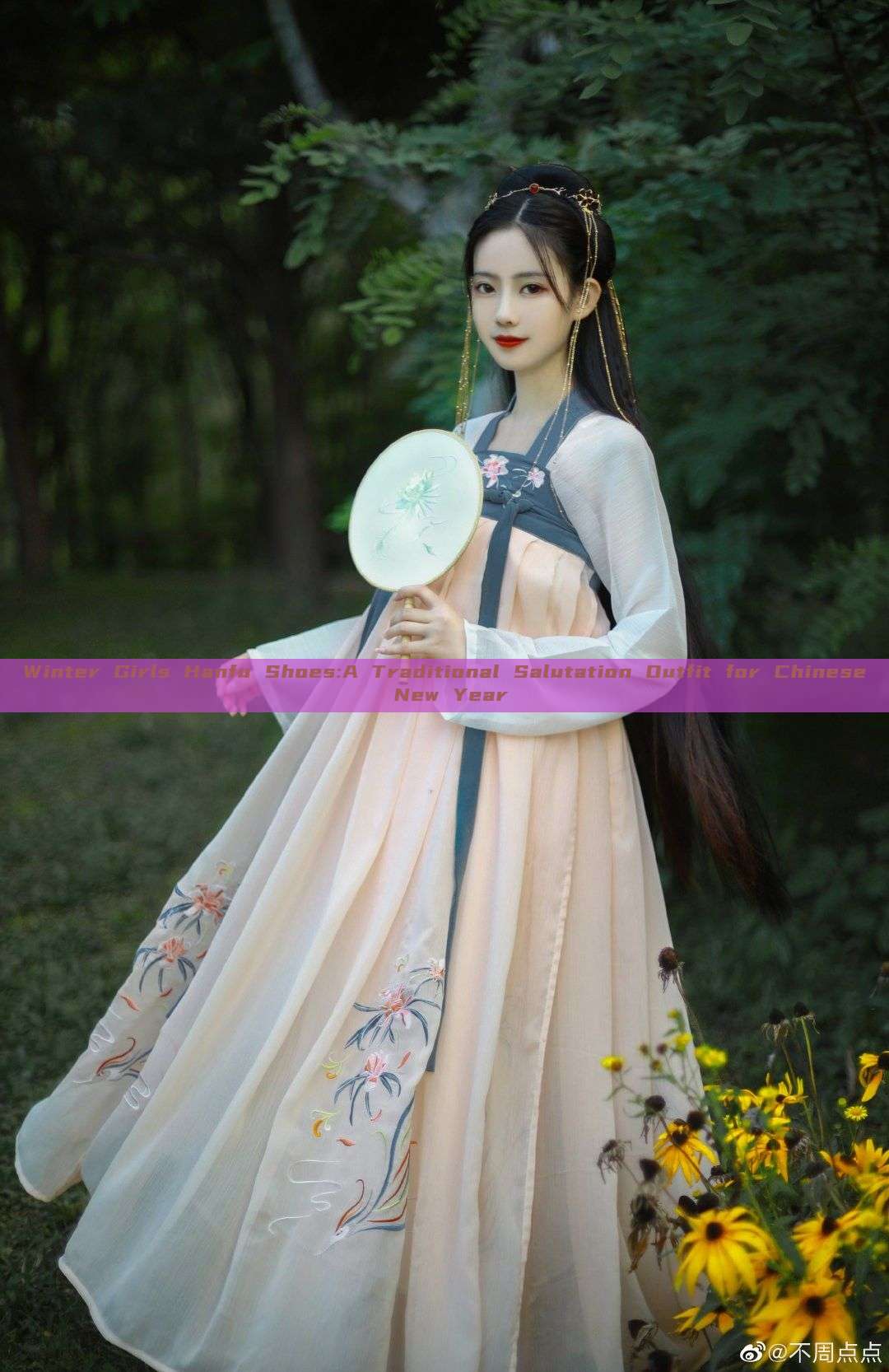 Winter Girls Hanfu Shoes:A Traditional Salutation Outfit for Chinese New Year Winter Girls Hanfu Shoes:A Traditional Salutation Outfit for Chinese New Year