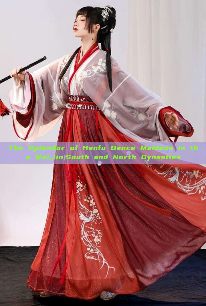 The Splendor of Hanfu Dance Maidens in the Wei,Jin,South and North Dynasties The Splendor of Hanfu Dance Maidens in the Wei,Jin,South and North Dynasties
