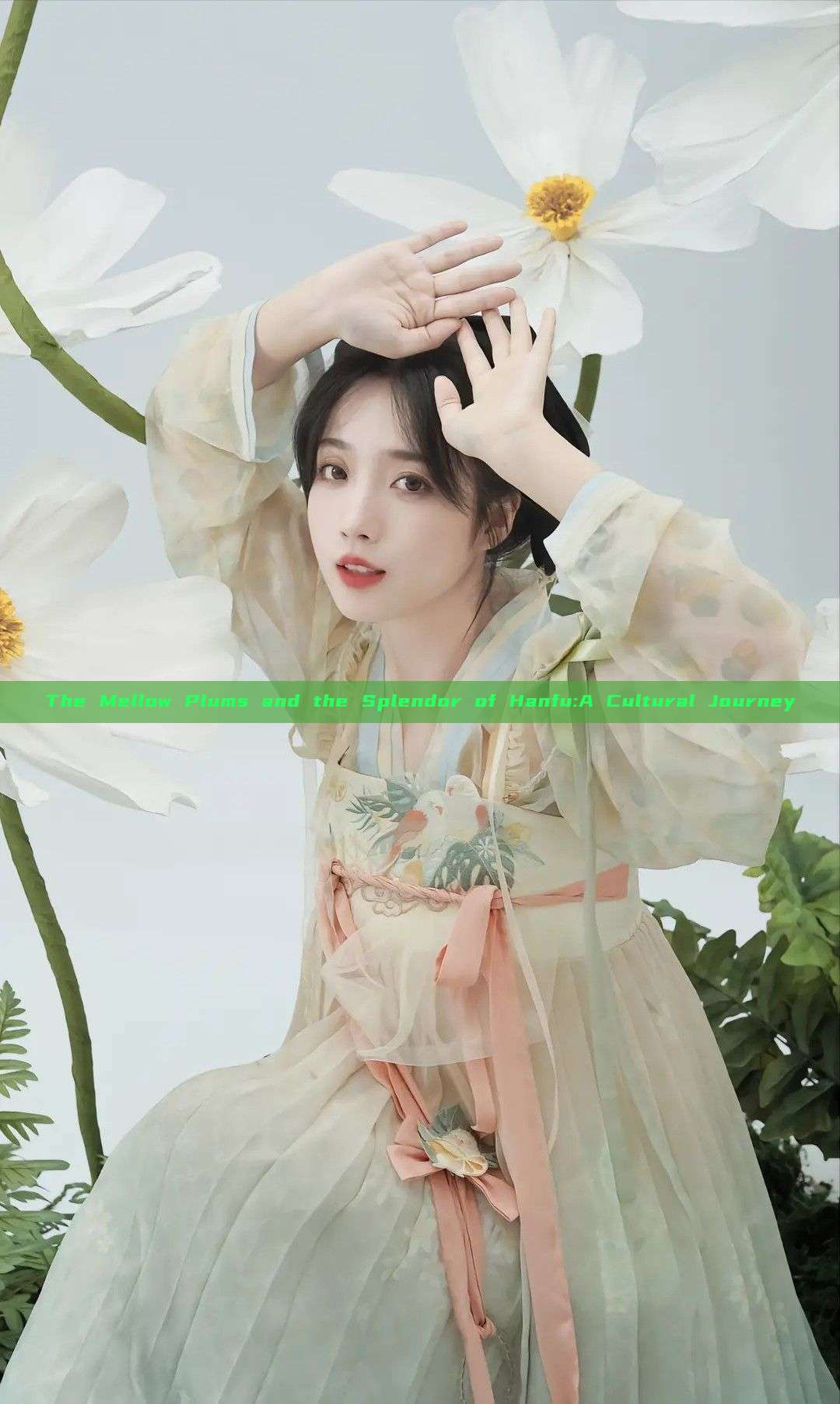 The Mellow Plums and the Splendor of Hanfu:A Cultural Journey The Mellow Plums and the Splendor of Hanfu:A Cultural Journey