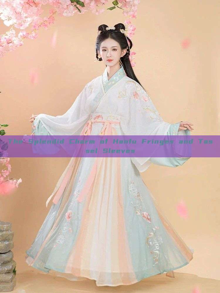 The Splendid Charm of Hanfu Fringes and Tassel Sleeves The Splendid Charm of Hanfu Fringes and Tassel Sleeves