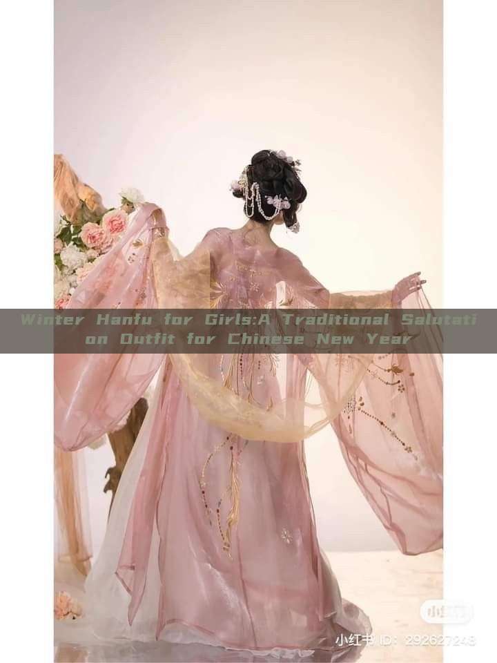 Winter Hanfu for Girls:A Traditional Salutation Outfit for Chinese New Year Winter Hanfu for Girls:A Traditional Salutation Outfit for Chinese New Year