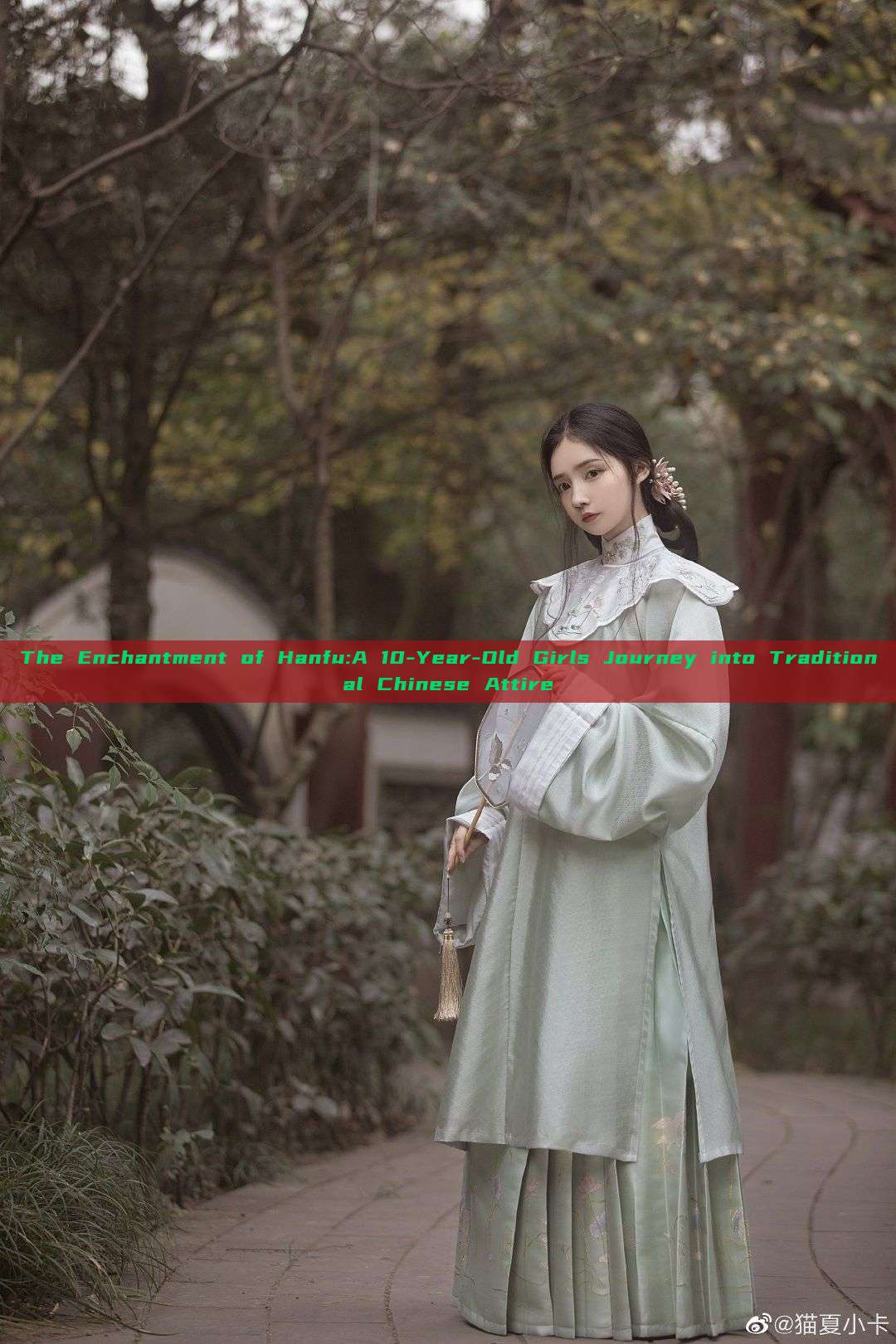 The Enchantment of Hanfu:A 10-Year-Old Girls Journey into Traditional Chinese Attire The Enchantment of Hanfu:A 10-Year-Old Girls Journey into Traditional Chinese Attire